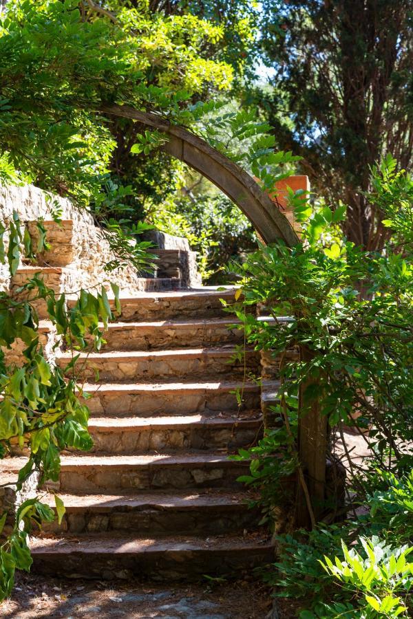 Hotel Provencal Hyères Exteriér fotografie