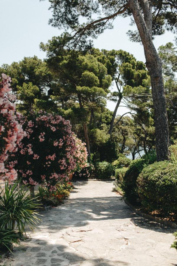 Hotel Provencal Hyères Exteriér fotografie